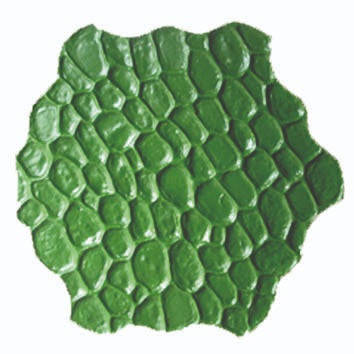 Imacem® molde piedra rio 80x80cm verde flexible