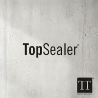 Componente A Topsealer WT Dragon mate 1L